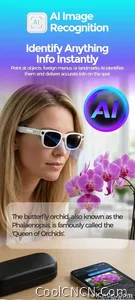 New 2026 Intelligent AI glasses shoot glasses take pictures and read pictures and record real-time translation of call music - view 19